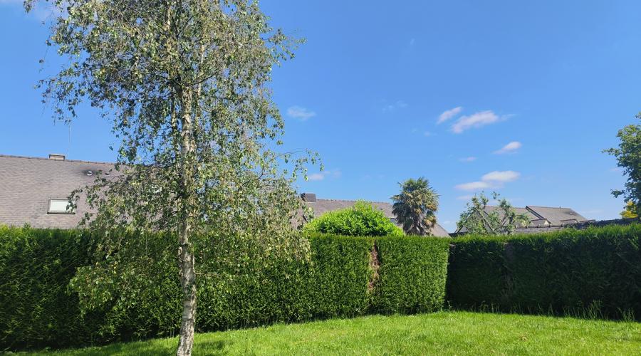 Photo Vient d'être vendue par l'agence ! Cabinet Diard Immobilier ! Maison T5 sur sous sol dans quartier calme et ré 4