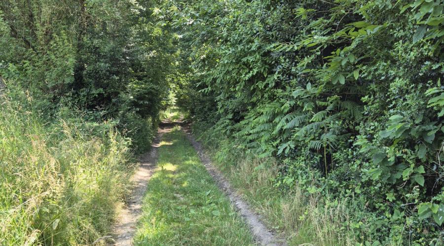 Photo Nouveauté au Cabinet Diard Immobilier ! En campagne à Chateaubourg, proche forêt, maison à rénover entièrement 3