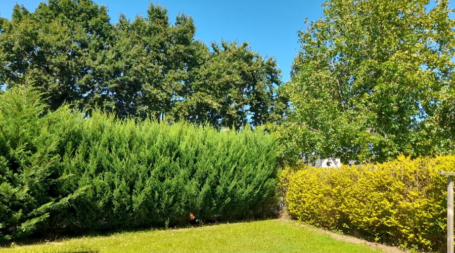 Photo Nouveauté en exclusivité Cabinet Diard Immobilier ! Maison T5/6 d'env. 135 m2 avec jardin et garage 2
